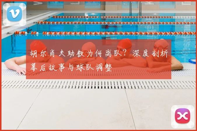 胡尔肖夫助教为何离队？深度剖析幕后故事与球队调整
